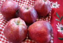 Recept na jablkovo-špaldové placky