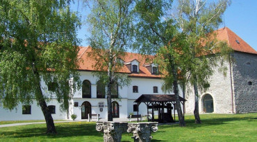 tekovské múzeum v Leviciach