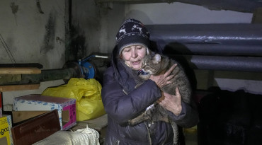 Ukrajina, vojna, zvierata, mačky