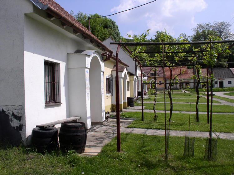 Zažite festival otvorených viníc v českom Mutěnsku