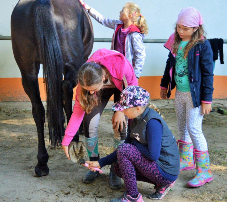 Deti by na koňoch nemali len jazdiť, ale aj sa o ne starať, hovorí šéfka jazdeckej školy