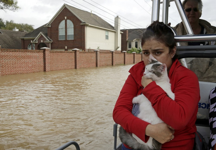 Komentátorka CNN: Američania si nedokážu vziať ponaučenie z hurikánov