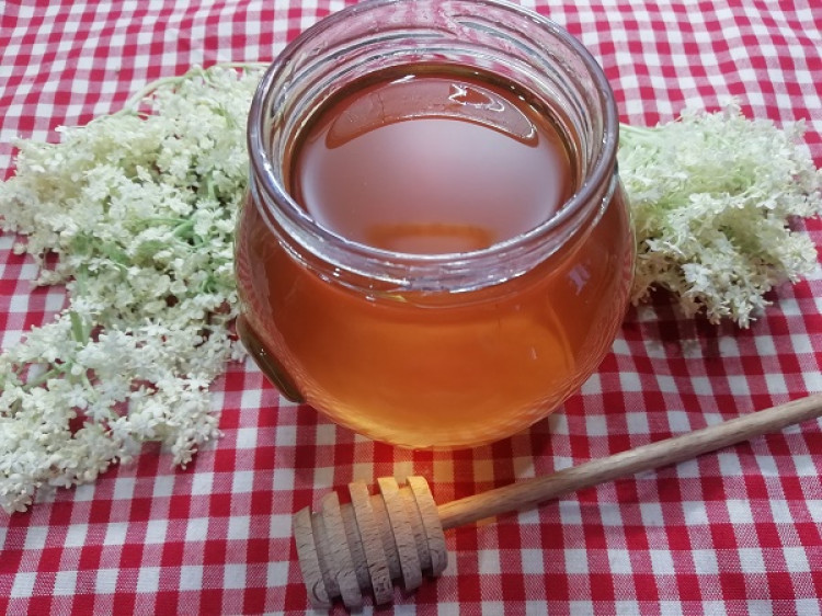Výborný domáci bazový med, RECEPT ako pripraviť med z bazy