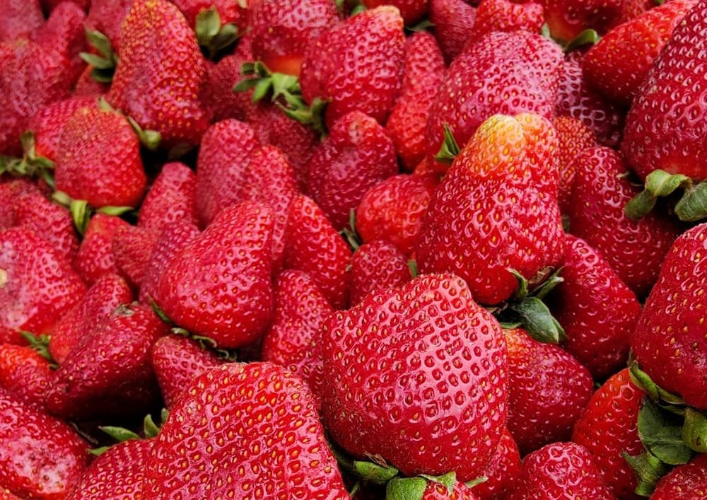 Jahody sú vitamínovou bombou, RECEPTY na skvelé pochúťky z jahôd