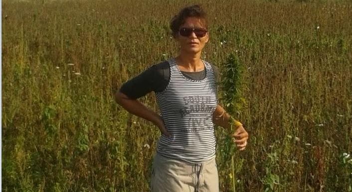 Sláviková: Konopa patrí do kuchyne aj na stavbu