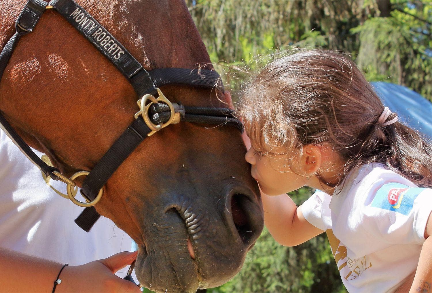 Terapia koňmi zlepšuje zdravie a duševnú pohodu – dospelých i detí