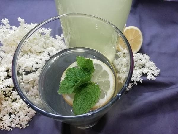 Bazový sirup 40 kvetov, extra recept