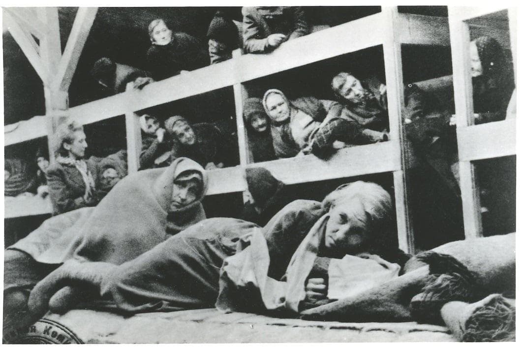 Auschwitz-Birkenau bolo peklo pre ženy. Potkany tam boli veľké ako mačky