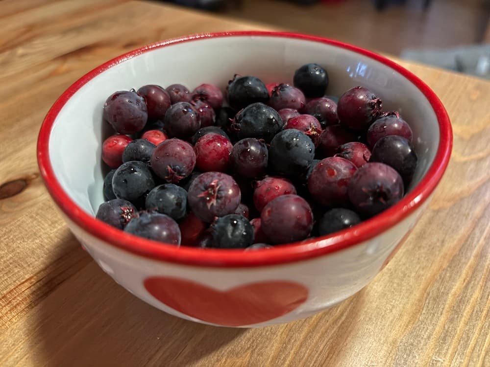 Má viac antioxidantov než mnohé superpotraviny. Prečo ženám prospieva muchovník (+recepty)