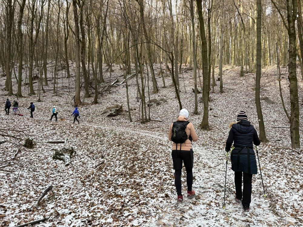 Nordic Walking v zime? Ženy v chladných mesiacoch pohyb potrebujú