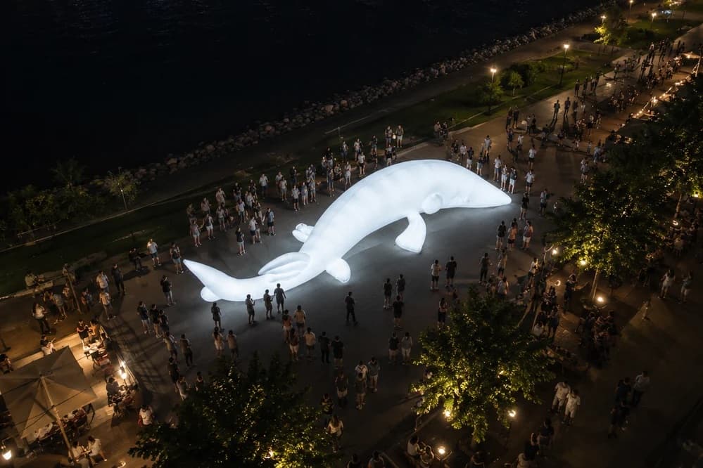Biela noc 2026: Šou s 300 dronmi a svetelný lúč z Kamzíka