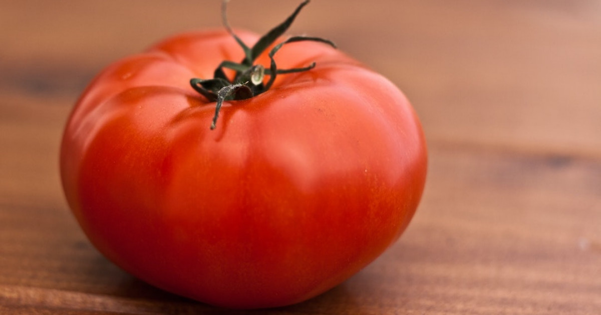 Czy pomidory naprawdę nie mają miejsca w lodówce?  Oto odpowiedź
