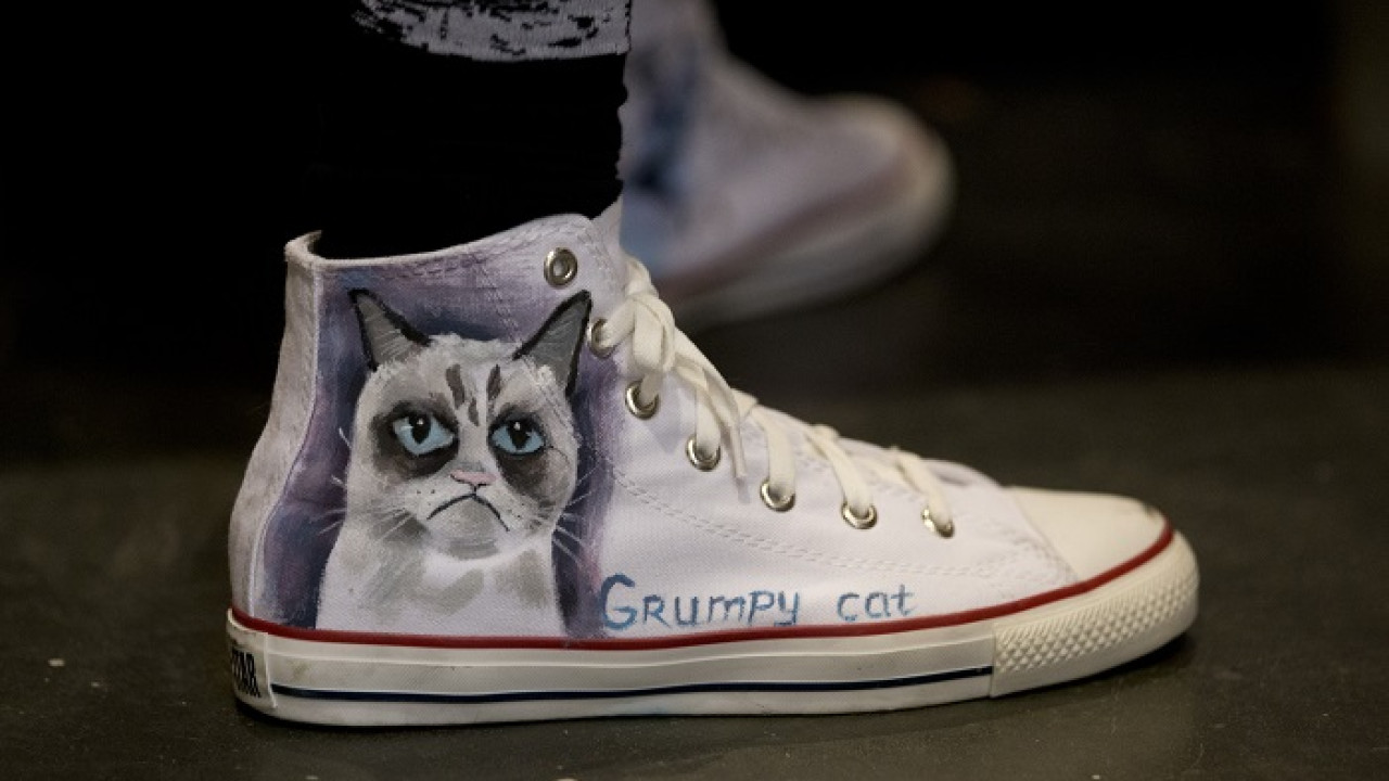 Grumpy Cat