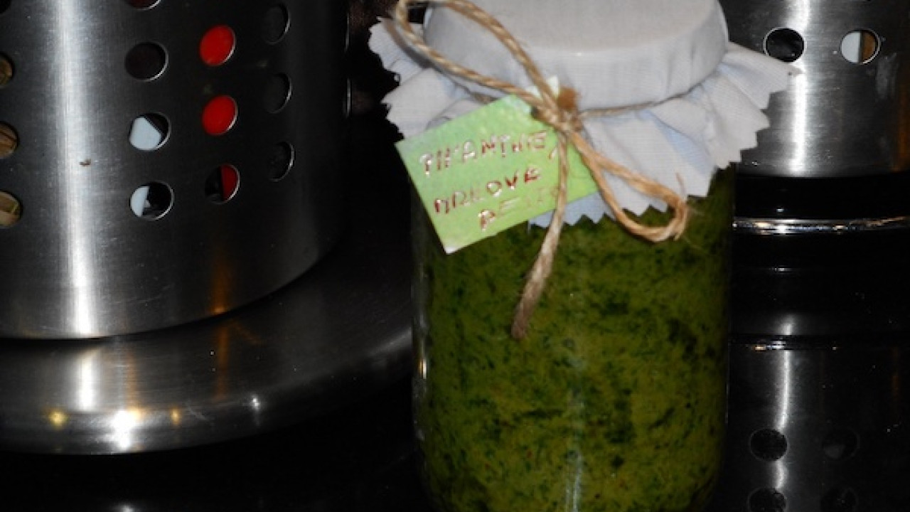 Pesto z mrkvovej vňate