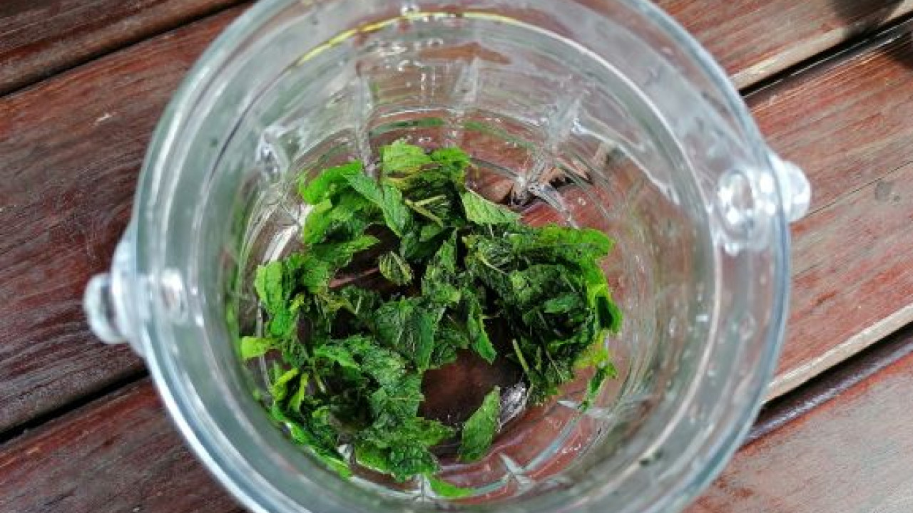 Mojito