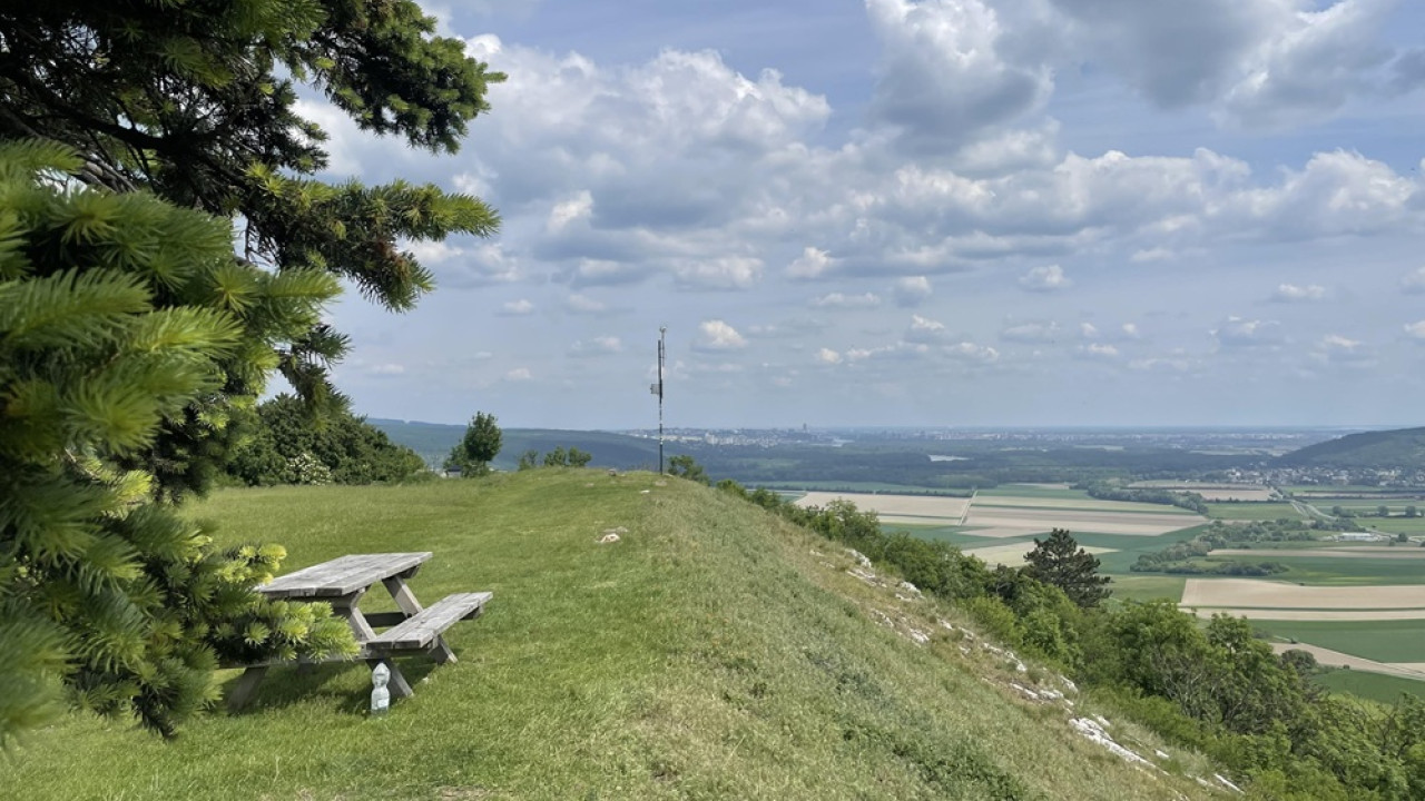 Braunsberg, Hainburg