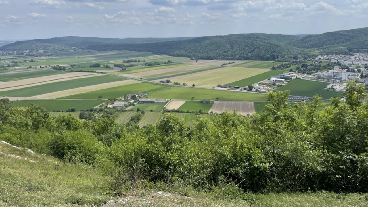 Braunsberg, Hainburg