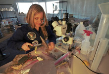 Astrobiologička Michaela Musilová