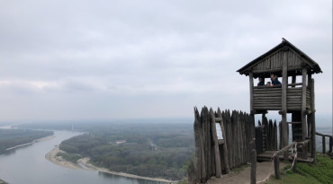 Braunsberg