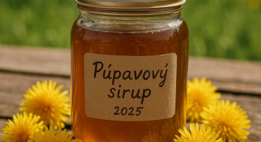 púpavový sirup 2025