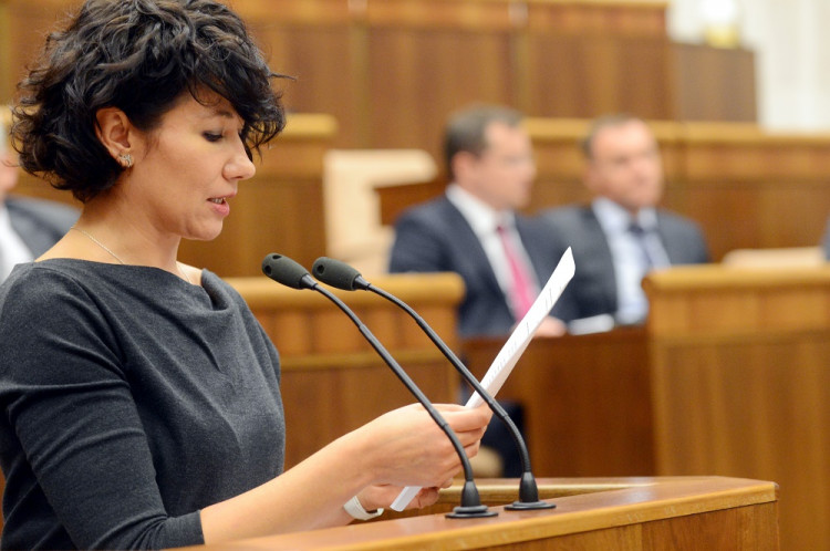 Lucia Nicholsonová (SaS): Alfa samci majú v parlamente ústavnú väčšinu