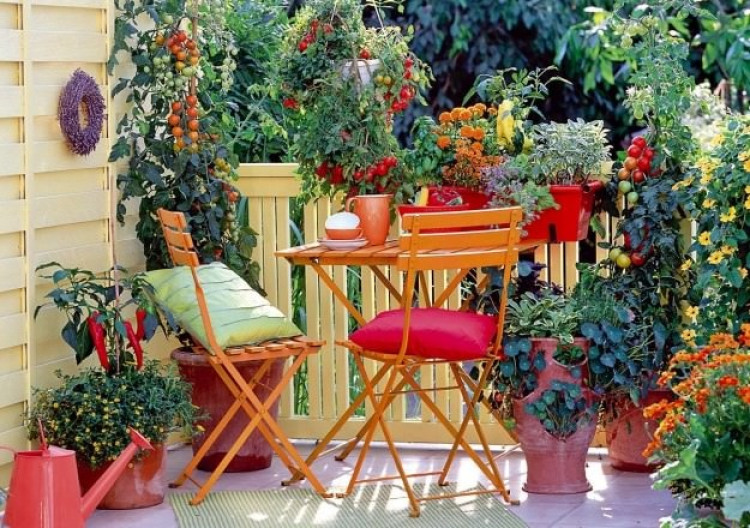 Muškáty nahradili zelenina a ovocie. Urban gardening funguje aj na slovenských balkónoch