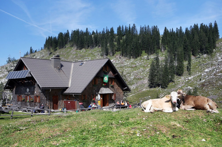 Mravčia trasa pre deti,  najväčší lezecký park alebo rakúsky Grand Canyon. Užite si hory