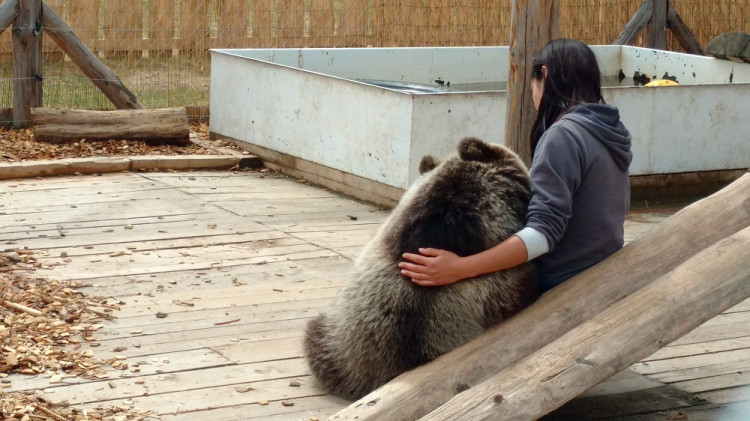 Výlety s deťmi v Liptovskom Mikuláši: Kontaktná ZOO, miniatúry a detské atrakcie