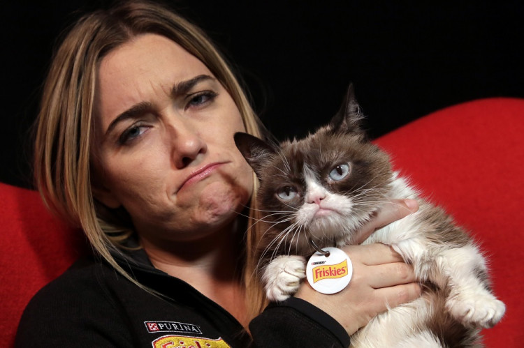 Zomrela mrzutá Grumpy Cat, najslávnejšia mačka na internete