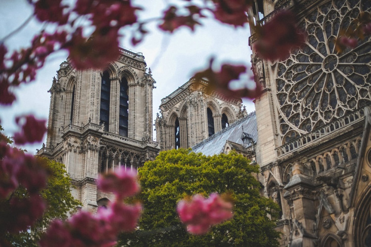 Kultová kniha, ktorá pomáha obnoviť slávnu katedrálu Notre-Dame