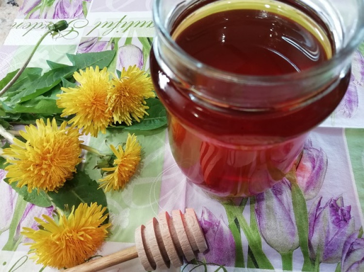 Púpavový med, recept na prípravu púpavového medu