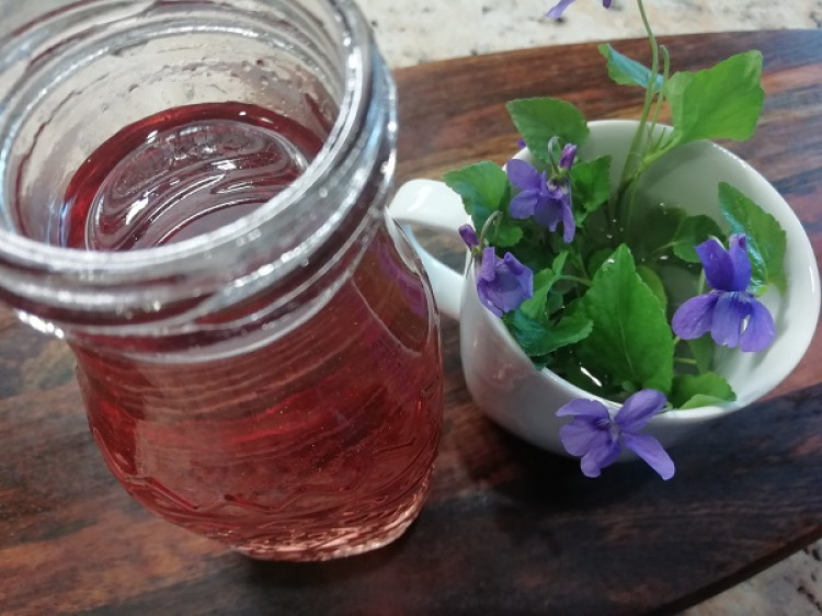 Liečivý sirup z jarných fialiek, RECEPT na skvelý fialkový sirup