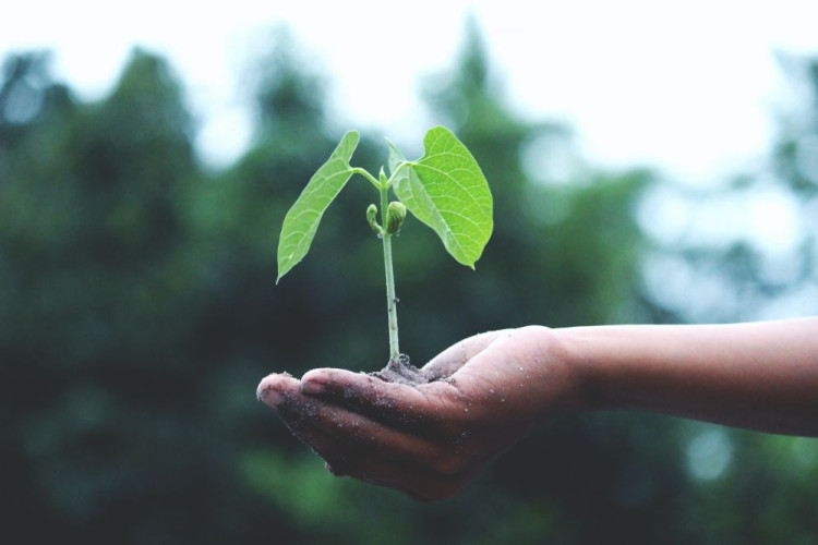 Zlepšite si znalosti o environmentálnych témach. Zapojte sa na Deň zeme do EkoKvízu