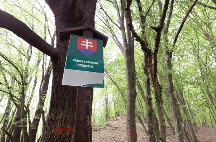Prírodná rezervácia Pralesy Slovenska. Čo to je? základné informácie