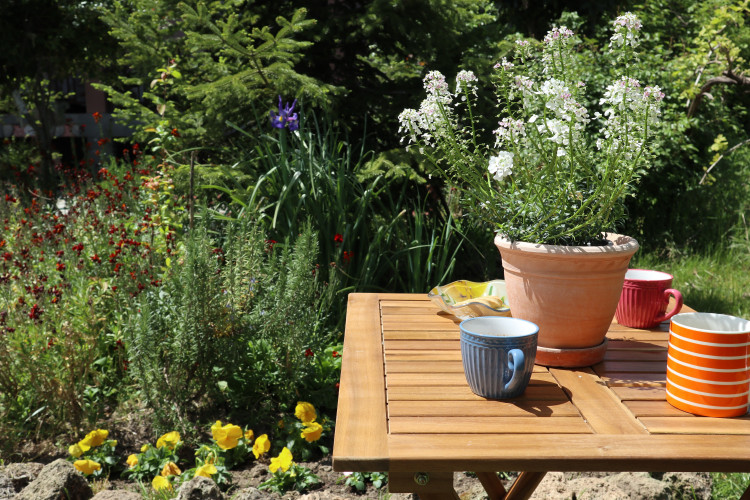 Záhrada v máji: Päť vecí, ktoré si môžete v záhrade vychutnať