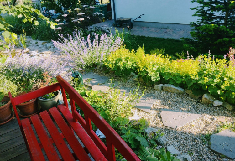 Záhrada v júni: 6 vecí, ktoré by sme mali v záhrade stihnúť pred dovolenkou