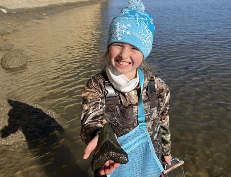 Deväťročné dievča našlo gigantický zub prehistorického žraloka