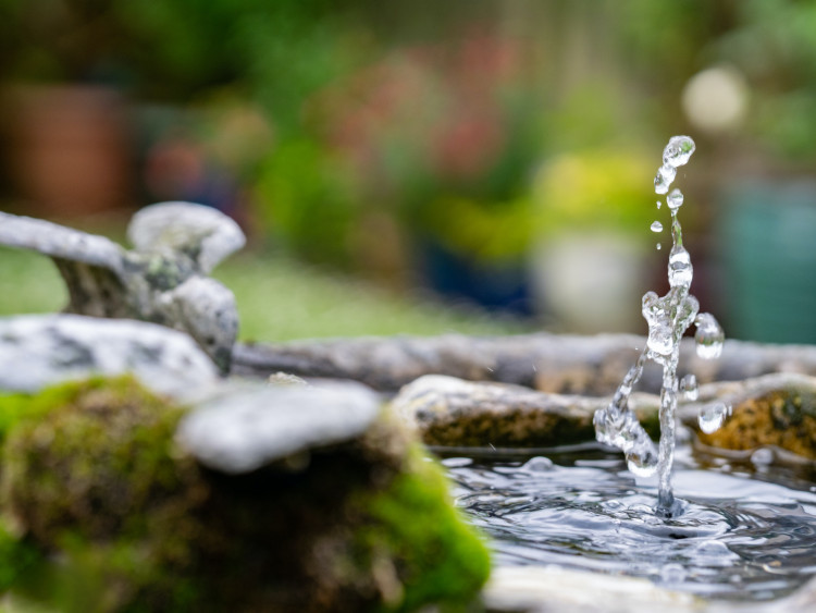 Jazierka a vodné prvky na záhrade či balkóne. Tipy, ako sa schladiť v horúčavách lacno a ohľaduplne