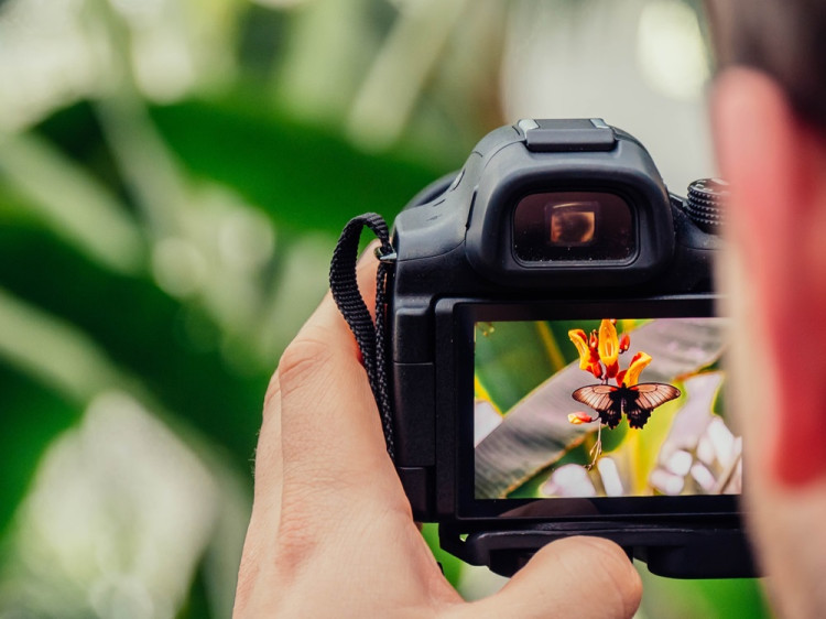 Naučiť sa fotografovať sa dá aj z domu
