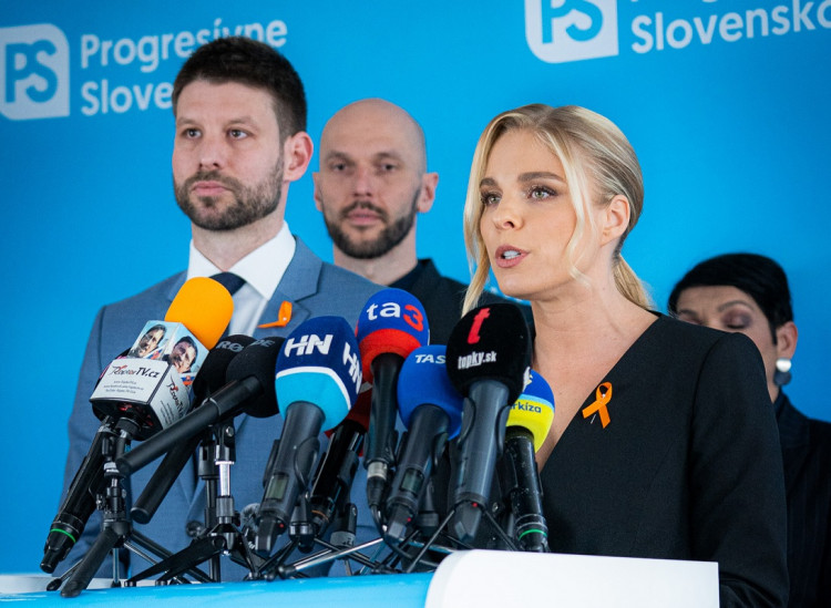 Cifrová Ostrihoňová: Chcem sa v politike venovať témam, o ktorých sa u nás hovorí s nenávisťou