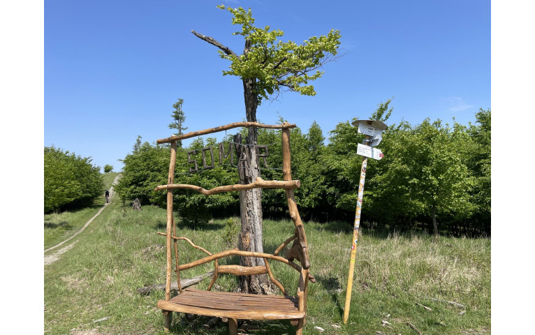 Somár, Karpaty