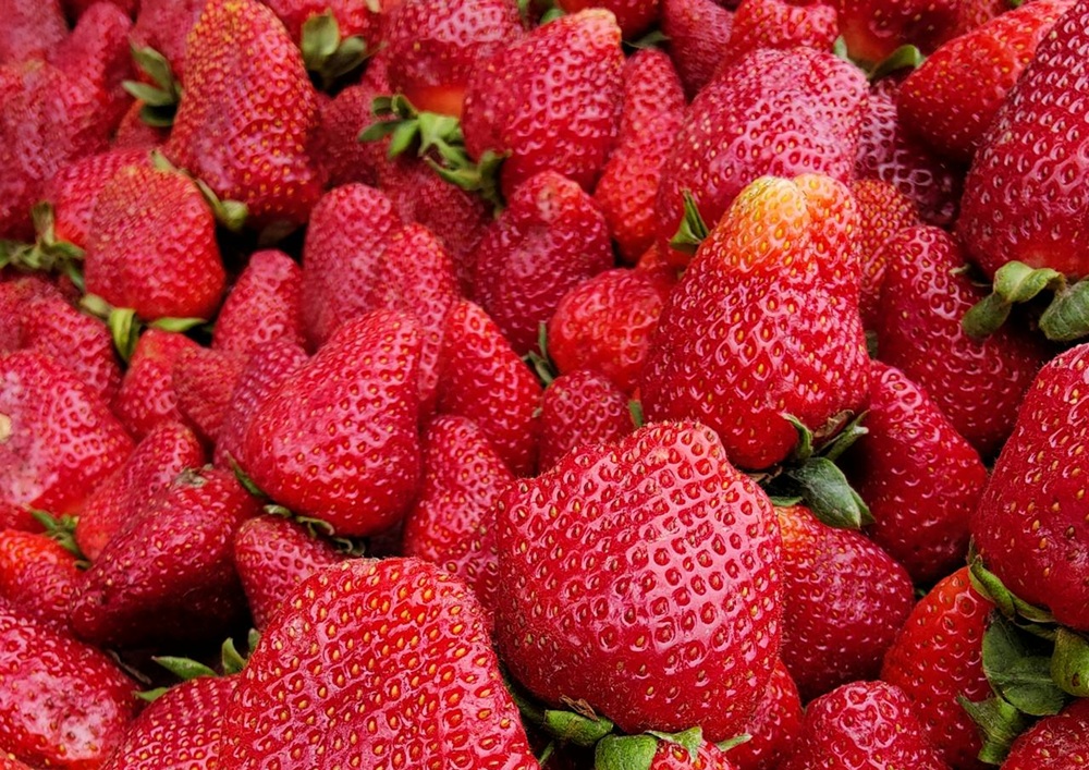 Jahody sú vitamínovou bombou, RECEPTY na skvelé pochúťky z jahôd