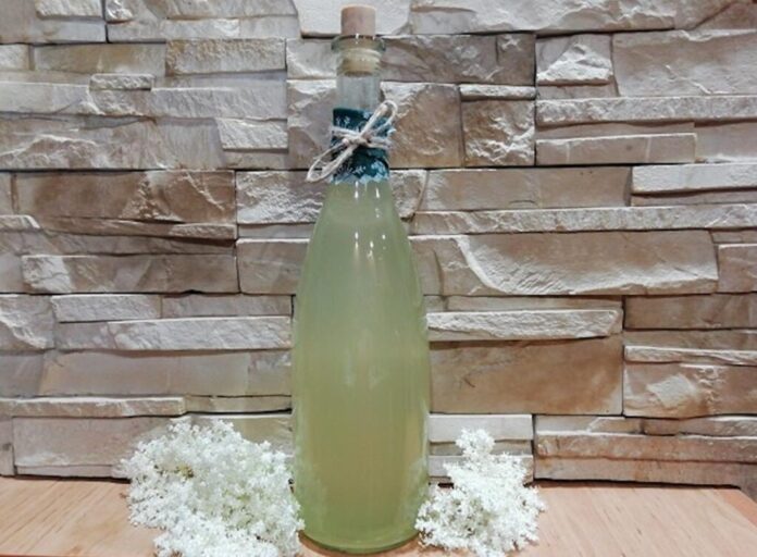 Najlepší bazový sirup: Jednoduchý recept pre letné osveženie | Domáci návod krok za krokom. Foto - archív ZvM