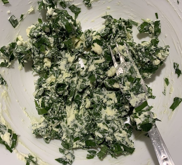 Slané slimáky z medvedieho cesnaku 3. Fotka - Andrea Bunčeková