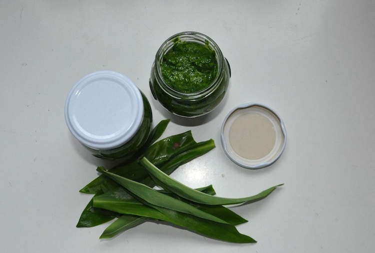 Medvedí cesnak recepty. Fotka - Redakcia Žien v meste