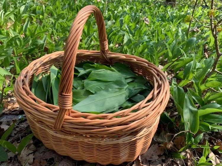 Čo si uvariť na Zelený štvrtok 6. Fotka - Redakcia Žien v meste