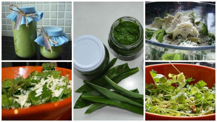 12 nápadov na domáce pesto.