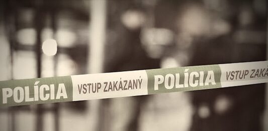 Žena obžalovaná z vraždy dvoch detí v Ružinove ide pred súd. Foto - archív ZvM