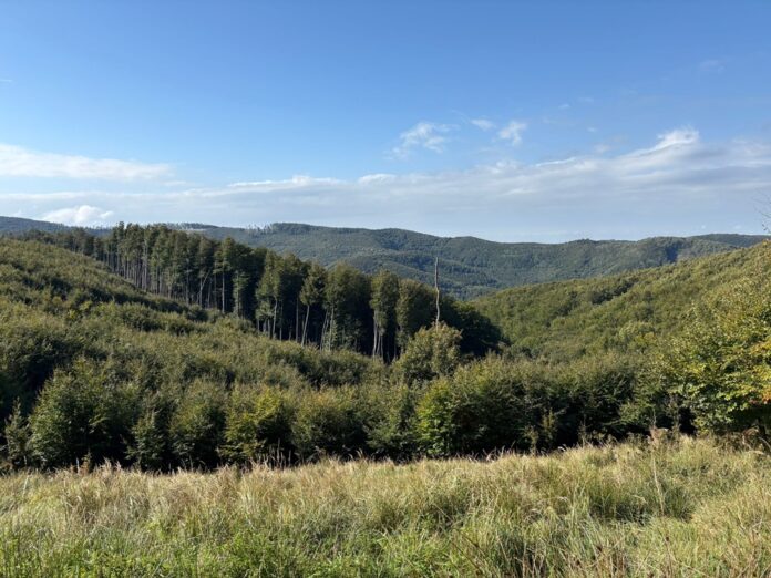 Nádherná túra v Malých Karpatoch ponúka krásne výhľady. Foto - NW nadšenci/P.S.