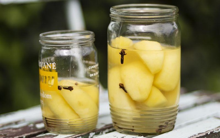 Vianočné ovocie 8. Fotka - Redakcia Žien v meste